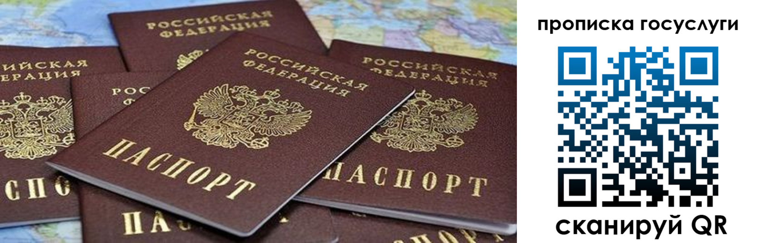 пропишу в квартире в Стародубе